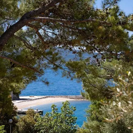 Rosmarin&olive Premium Mobile Homes * Selce